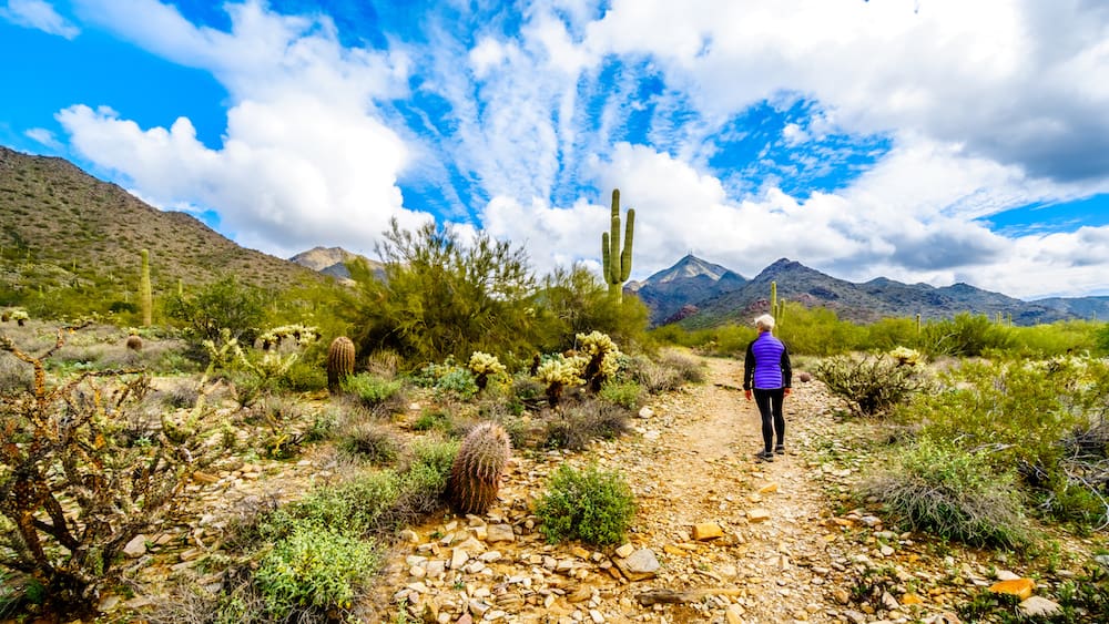 5 Hikes You Can’t Miss in AZ While You’re There for Your Pesach Vacation