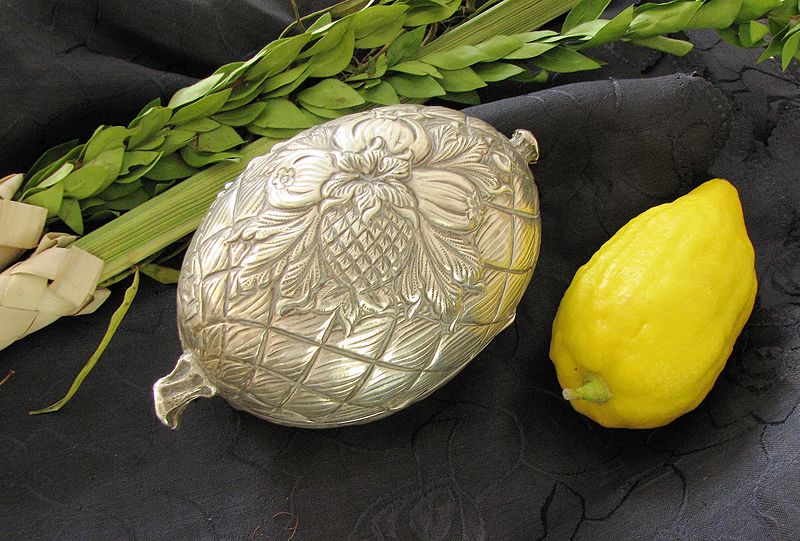 Lulav and Etrog for Pesach